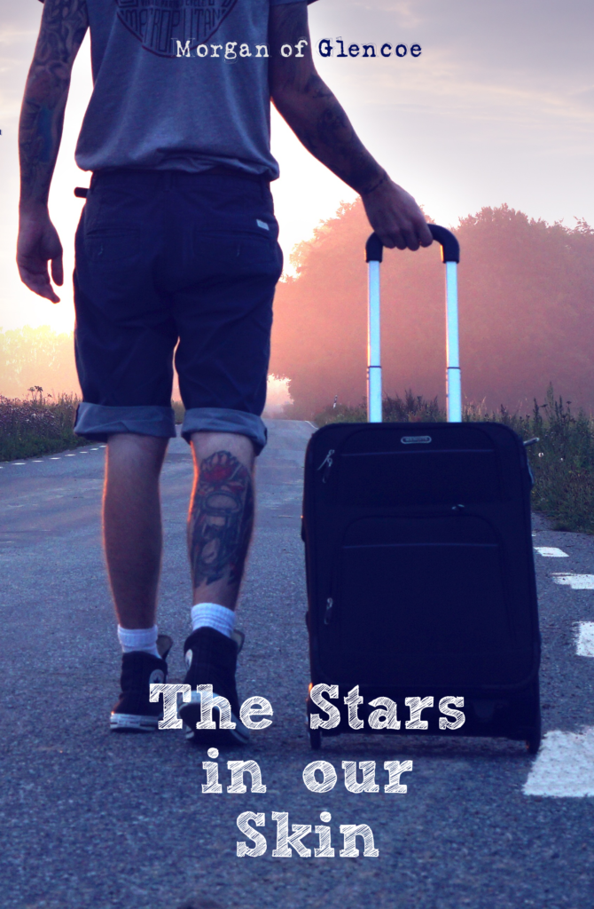 The Stars in our skin cover